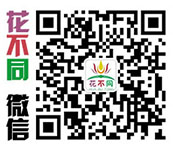 開封花不同花卉有限公司-立體花壇