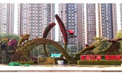 <b>湖北武漢-生態(tài)江夏，菊頌金秋大型五色草造型雕</b>