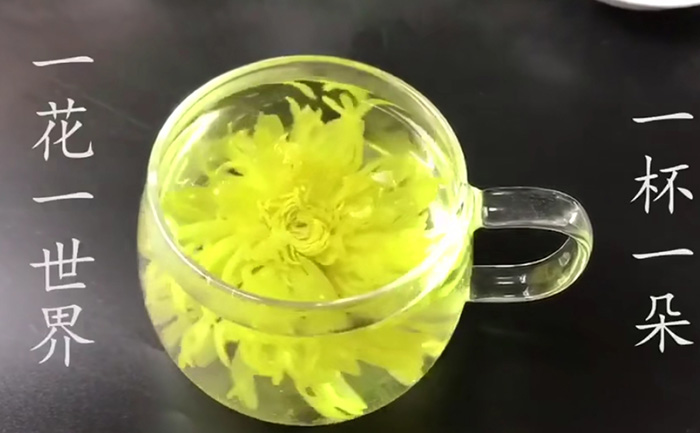金絲皇菊種苗價(jià)格