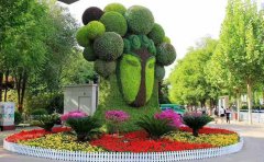 <b>特色五色草造型綠雕在城市、園林造景中的應用</b>