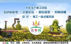 <b>制作五色草造型應該選擇什么樣的公司</b>