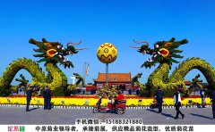 <b>嫁接型造型菊步驟、品種的選擇和嫁接方法</b>