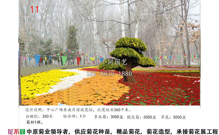 菊花展設(shè)計方案-色塊設(shè)計效果圖