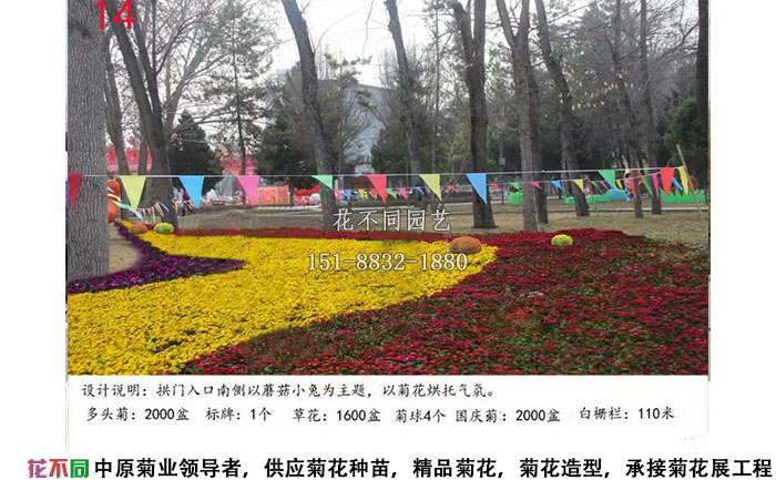 菊花展設(shè)計方案-色塊設(shè)計效果圖