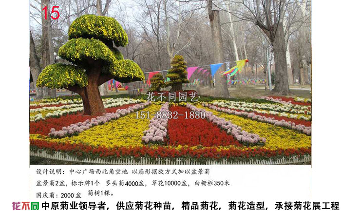 菊花展設(shè)計方案-盆景菊設(shè)計效果圖