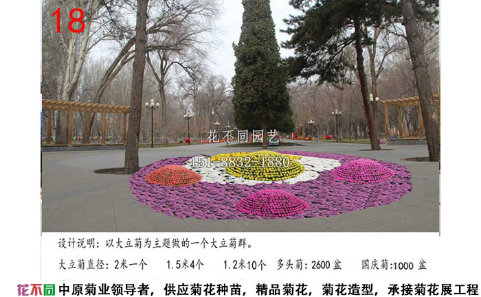 菊花展設(shè)計方案-大立菊設(shè)計效果圖