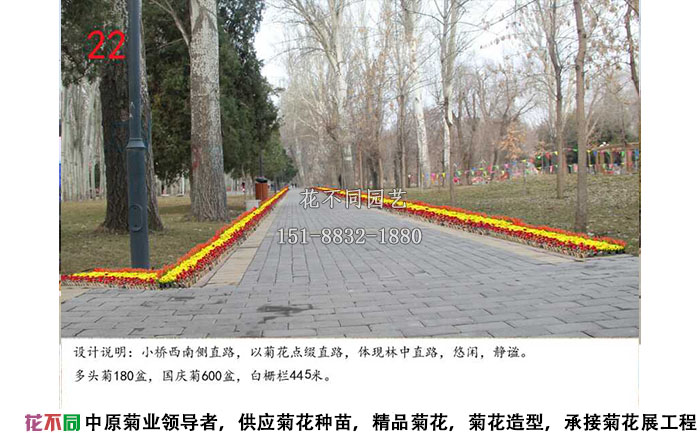 菊花展設(shè)計方案-沿路設(shè)計效果圖