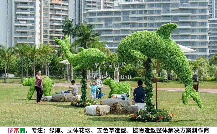 植物綠雕動物造型-海豚實(shí)拍圖