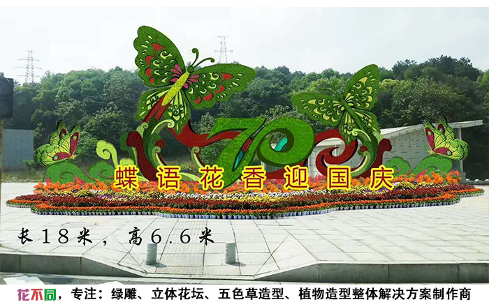 國慶主題五色草造型設(shè)計圖-蝶語花香迎國慶