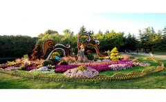 菊花節(jié)施工廠家在開(kāi)封清園菊花展布展實(shí)例