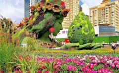 湖北武漢菊花展綠雕修復工程