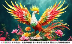 國慶主題綠雕方案-“祖國騰飛，萬象更新”
