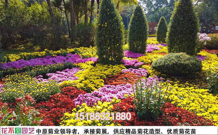菊花花?；焐M合設(shè)計(jì)配色方案