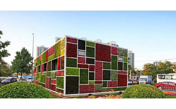 五色草種苗生產基地全景實拍圖